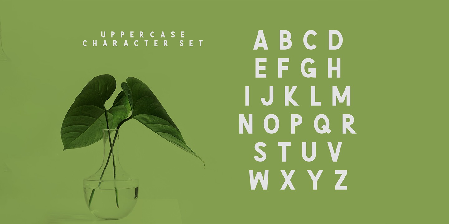 Example font Green Narcu #4